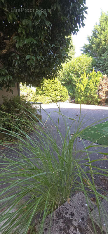 Maison à ARNAC-POMPADOUR
