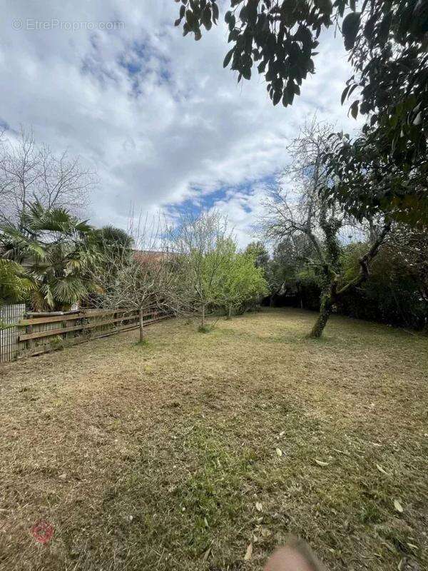 Terrain à L&#039;ISLE-EN-DODON