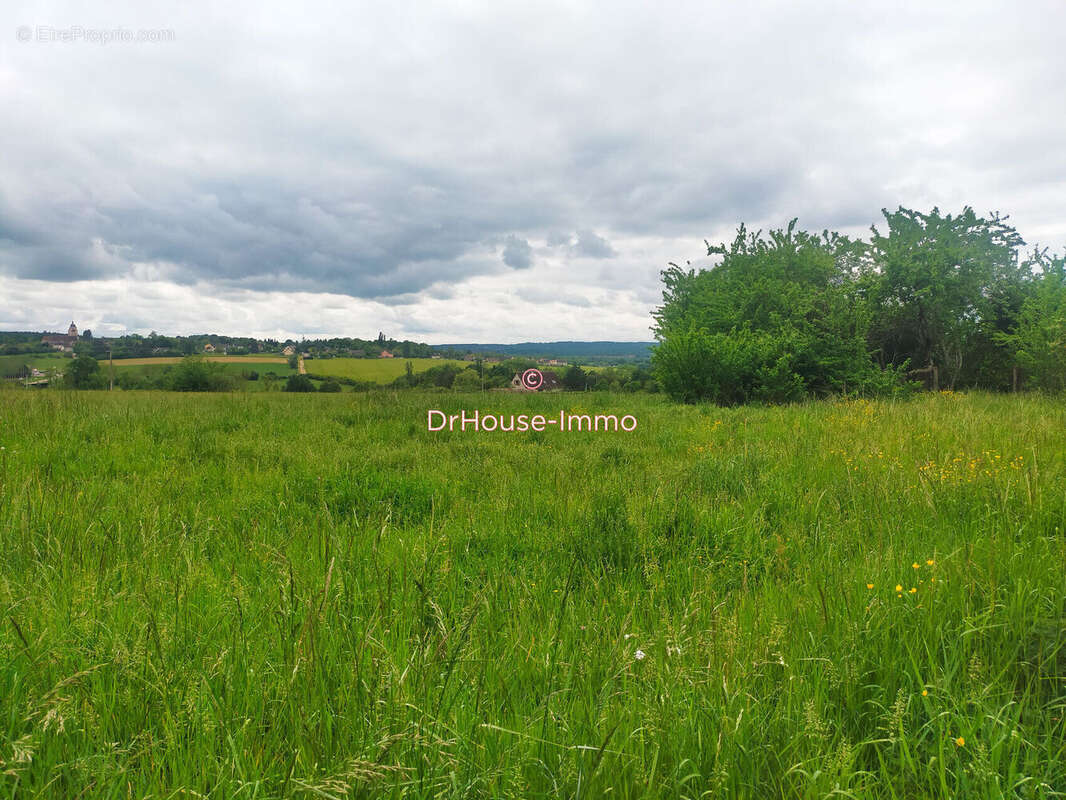 Terrain 3700 m² à Chevannes  - photo 4