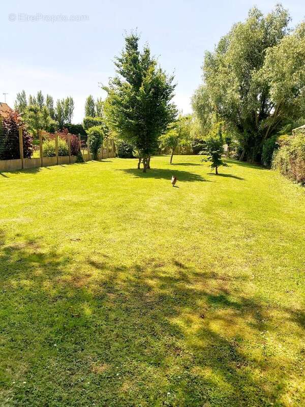 Photo 2 - Terrain à SAINT-JOSSE