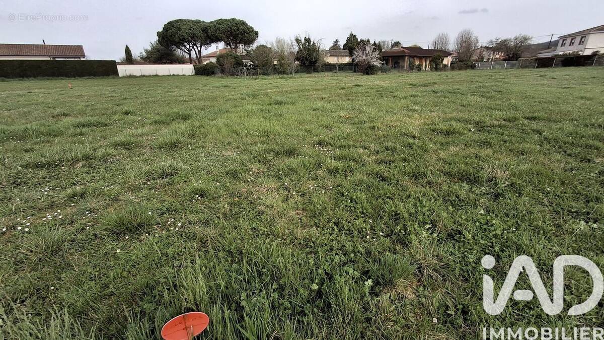 Photo 1 - Terrain à GRISOLLES