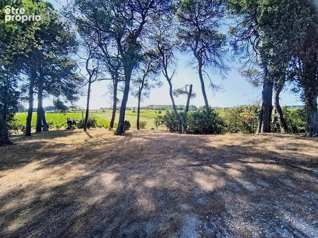 10 Mns Carcassonne - Ancienne longère de 240 m² avec séjour de 55 m², 178 m² d'annexes et terrain de plus de 3 000 m² - photo 3