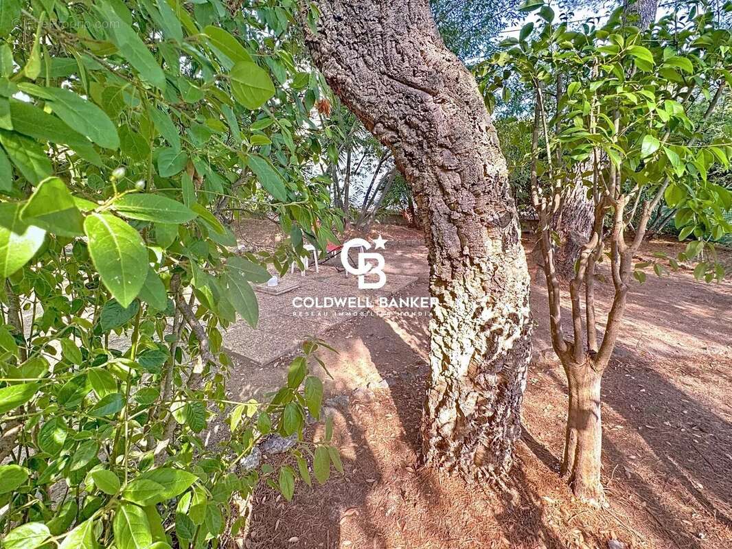 Appartement à SAINT-RAPHAEL