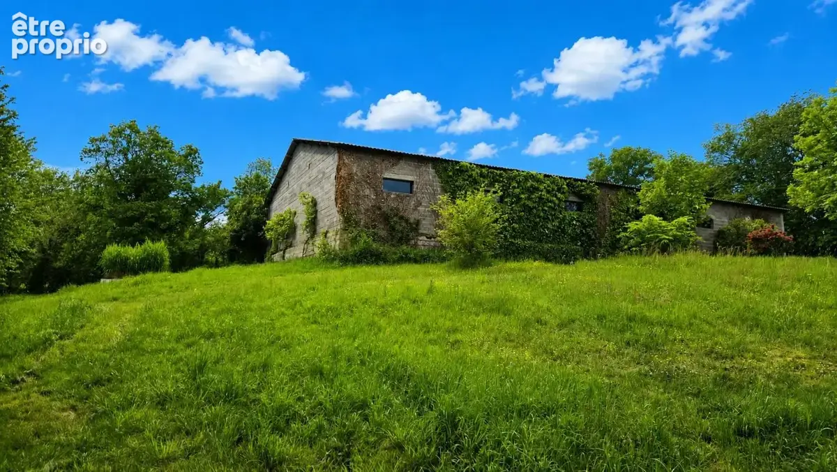 Propriété avec sous-sol total, hangar et plus de 2 hectares - photo 14