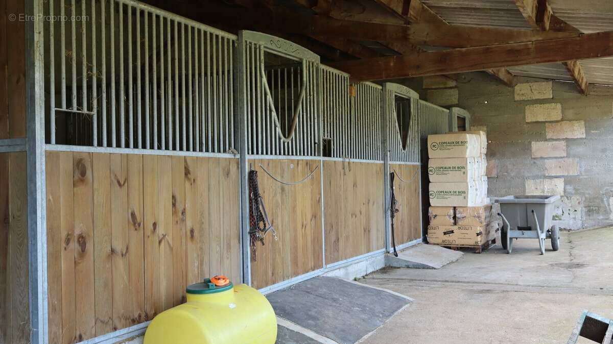 Maison à CHATEAUNEUF-SUR-CHARENTE