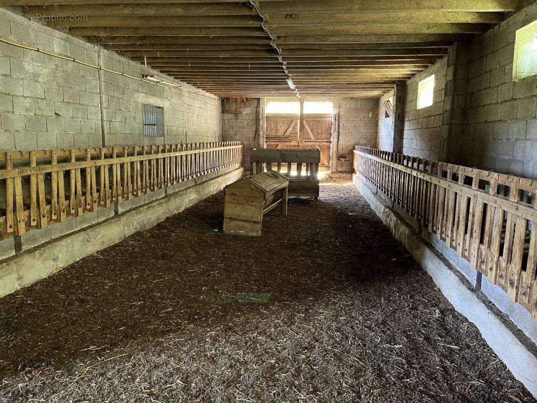 Commerce à SAINT-SULPICE