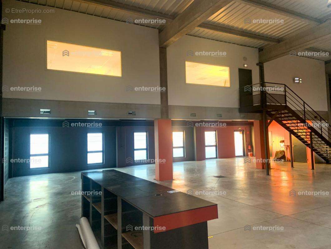 Rare sur le secteur - acquisition - cellule d'activités - 800 m2 - avelin - photo 3
