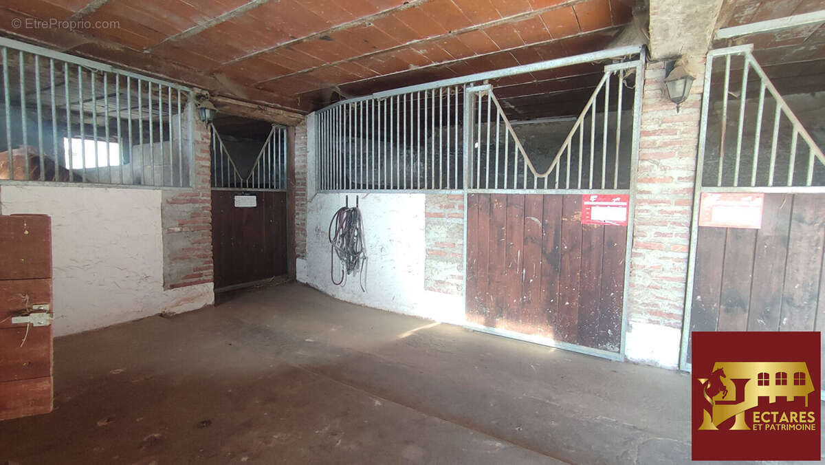 Maison à SAINT-TRIVIER-DE-COURTES