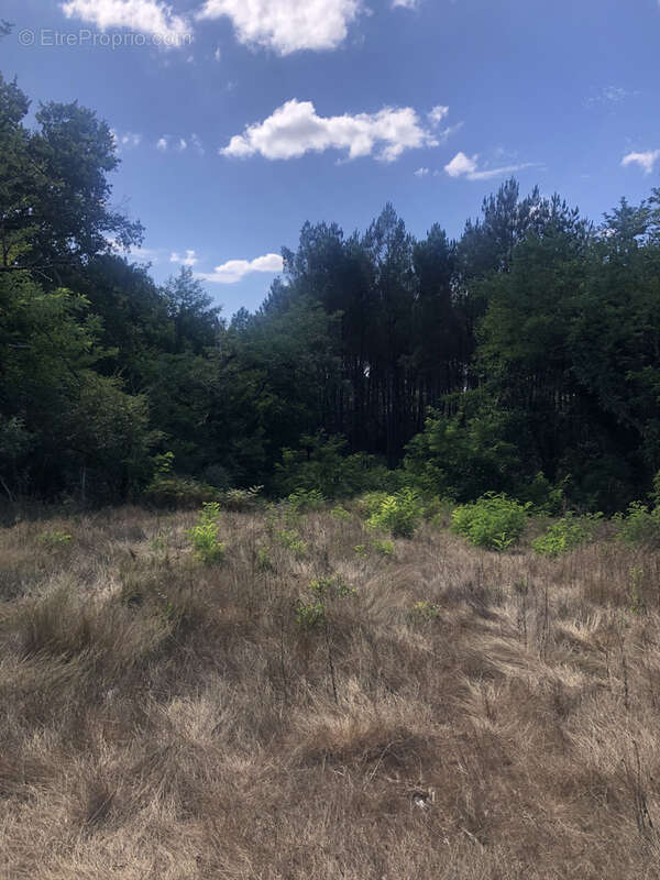 Maison à LERM-ET-MUSSET