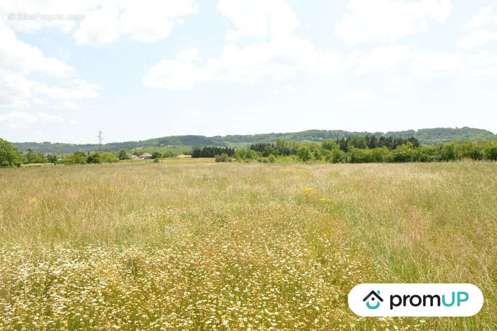 Terrain à SAINTE-LIVRADE-SUR-LOT