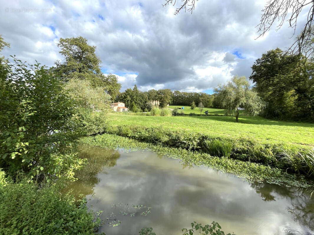 GITES - Maison à ASNIERES-SUR-BLOUR