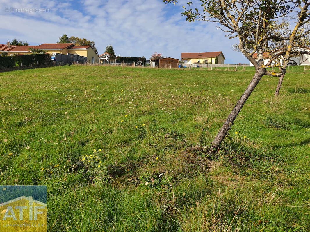 Terrain à CREMEAUX