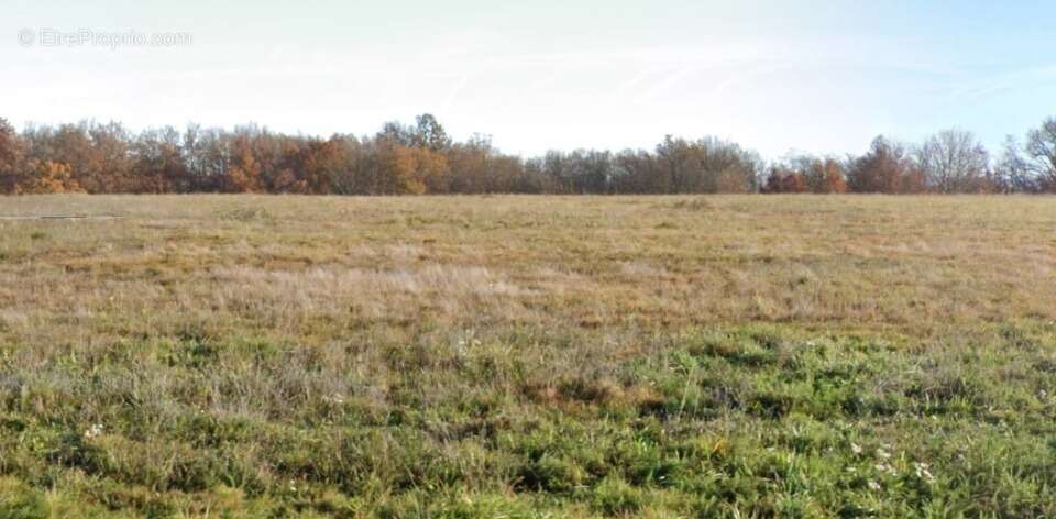 Terrain à LABASTIDE-SAINT-SERNIN