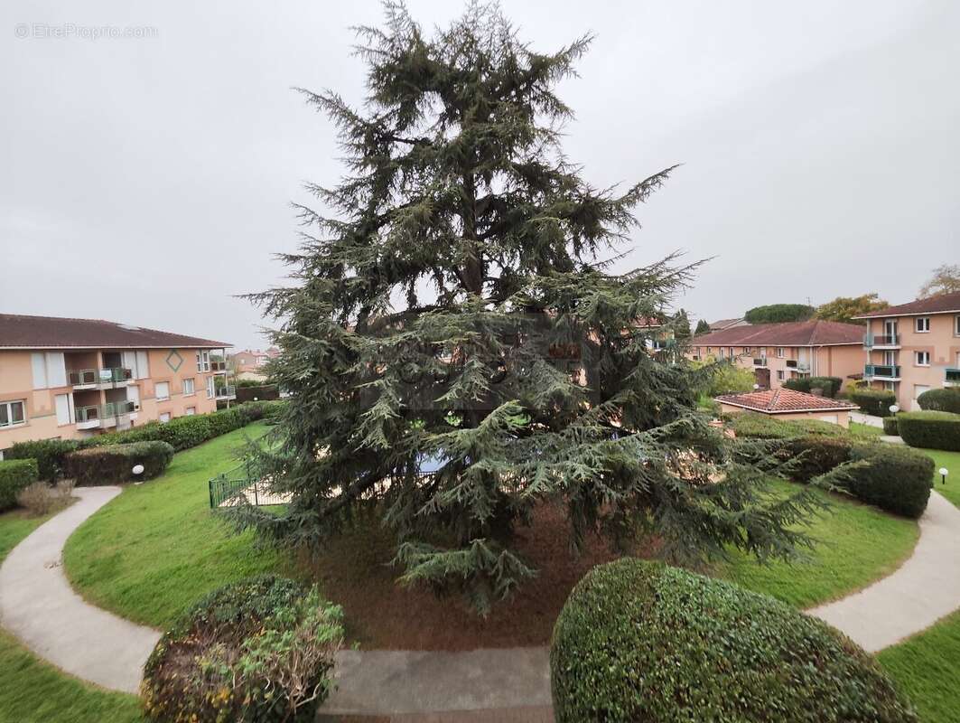 Appartement à TOURNEFEUILLE