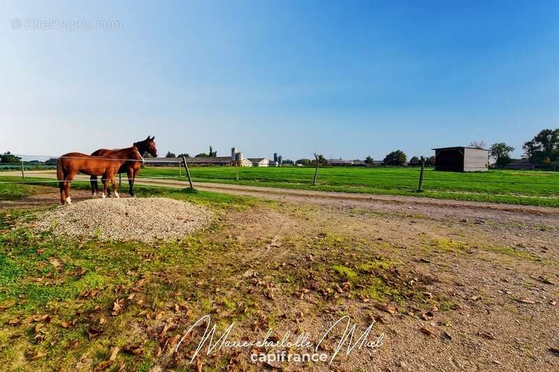 Maison à SAINT-BENIGNE