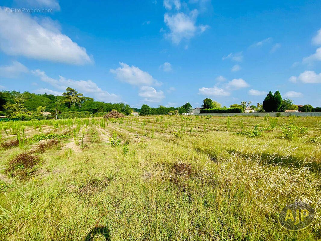 Terrain à SAINT-GERMAIN-D'ESTEUIL