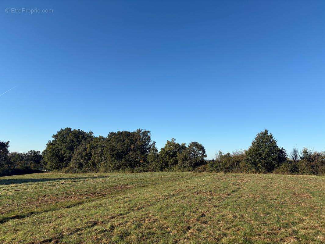 Terrain à SAINT-PIERRE-DE-CHIGNAC
