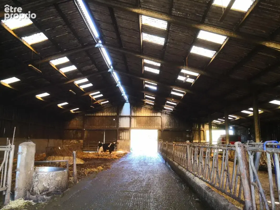 cadre bucolique pour cet authentique corps de ferme en pierre sur 10 hectares  Idéal équestre & agricole - photo 8