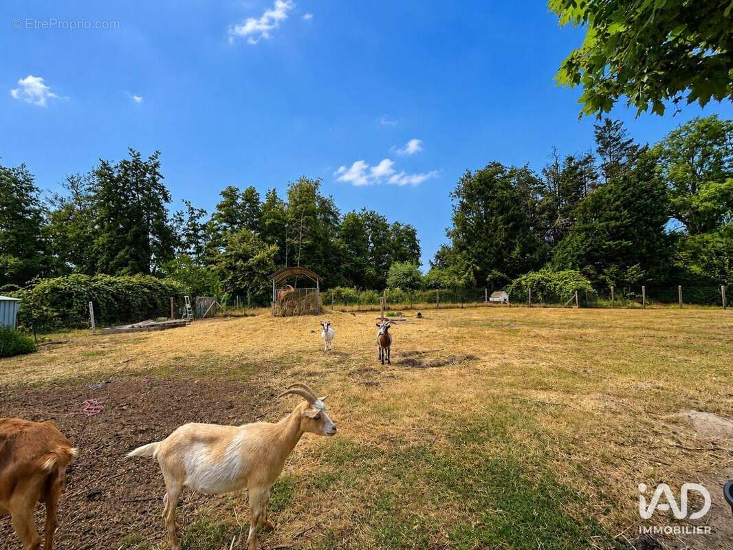 Maison 275 m² à Warlaing  - photo 5