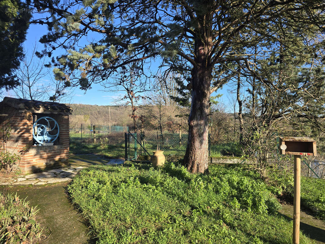 Maison à CASTELNAU-DE-LEVIS