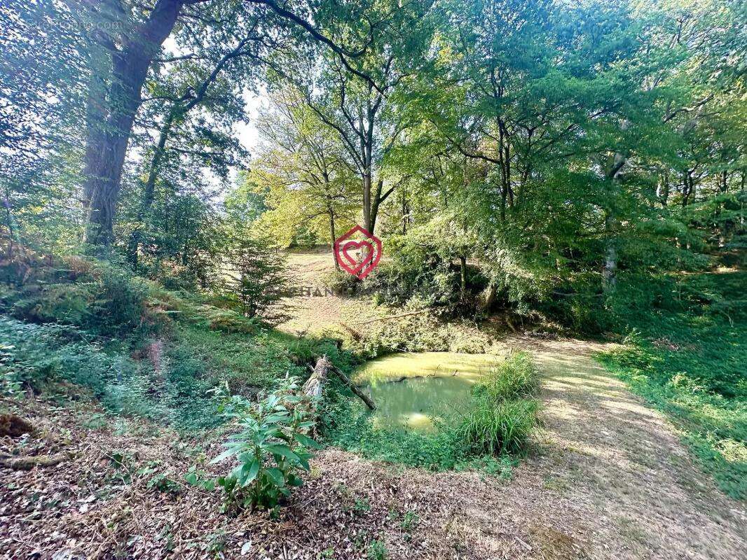 Magnifique ferme avec piscine, dépendances, lac et 6,2 hectares de terrain proche Miélan Gers - photo 9