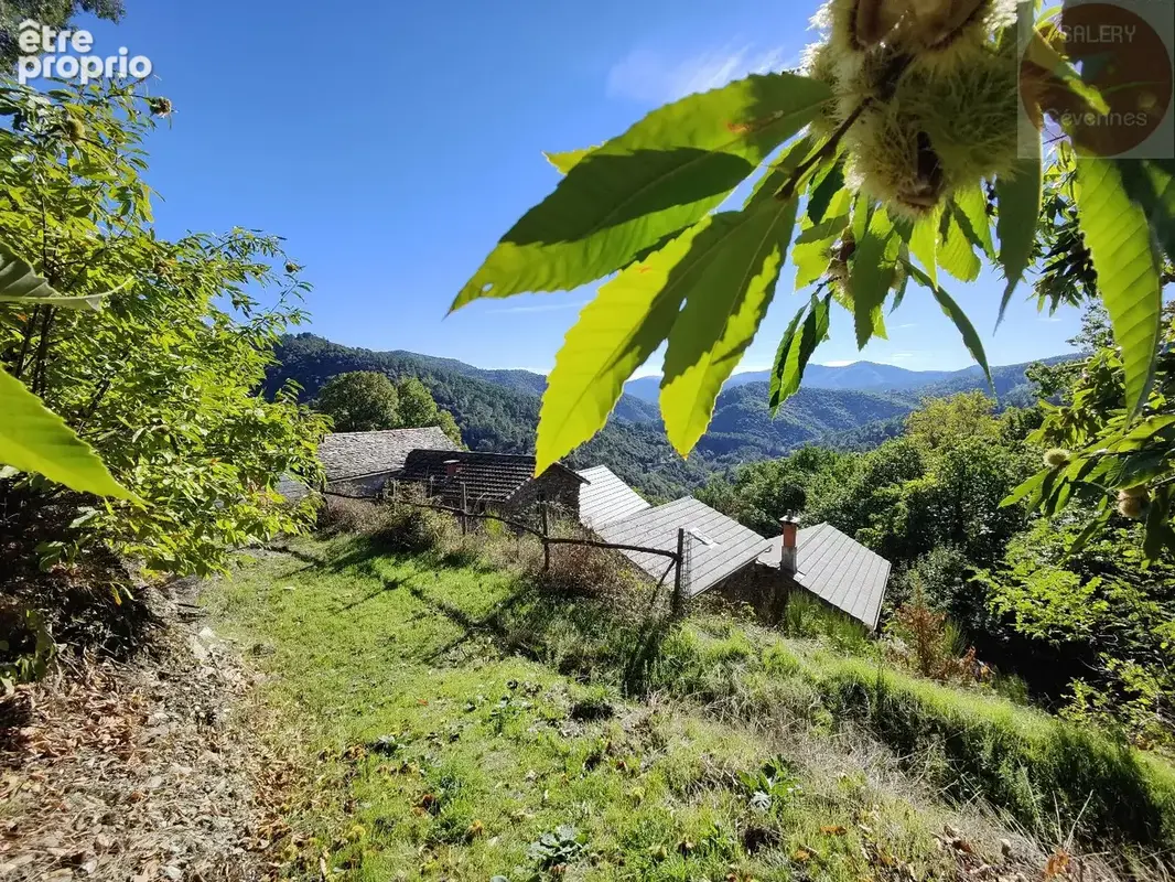 Charmante maison avec dépendances et vue dégagée - photo 1