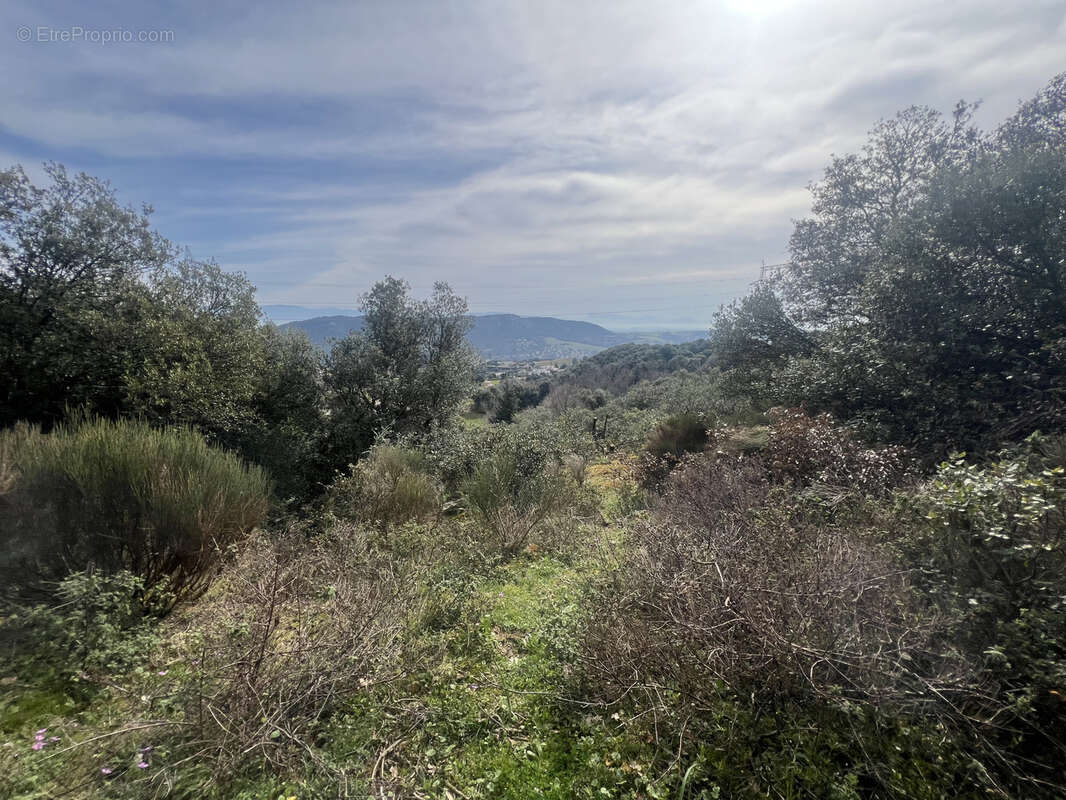 Terrain à SAINT-PERAY
