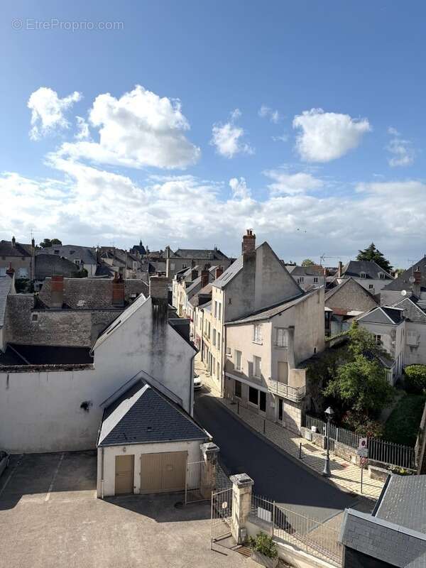 Appartement à vendre 3 pièces MEUNG SUR LOIRE (45) - photo 5