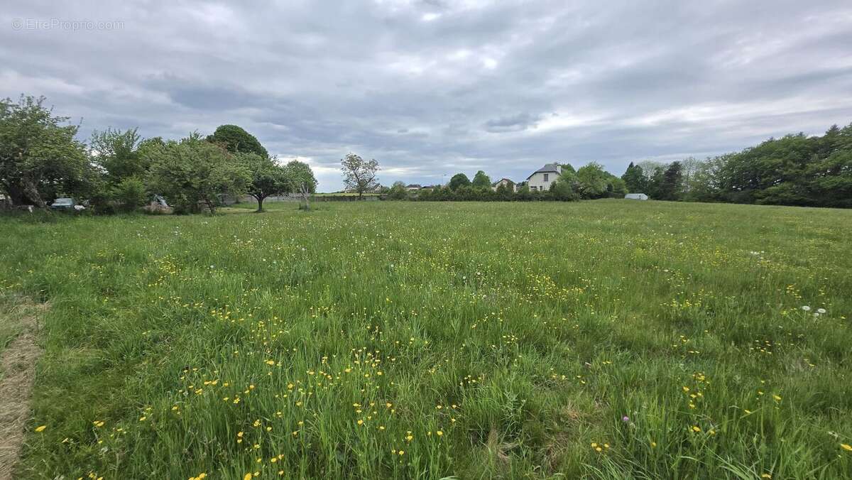 Terrain à bâtir de 1465 m² à SAINT-GEORGES-DE-MONS (63) - photo 2