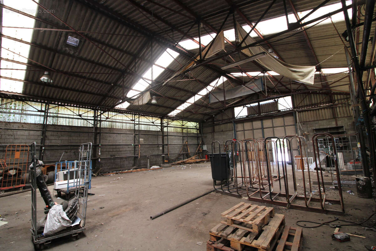 LOCAUX COMMERCIAUX DE 1750 M2 sur terrain de 3700 m2. - photo 3