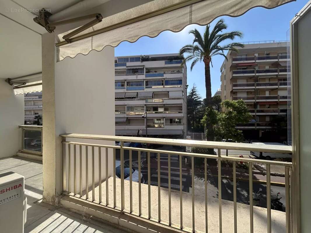 Palm. beach - bel appartement terrasse - photo 3