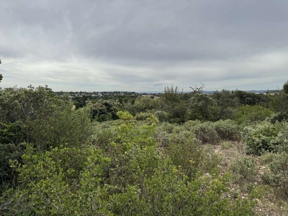 Terrain à VILLENEUVE-LES-AVIGNON