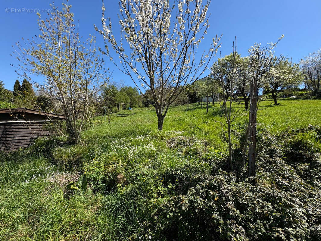 Maison à SAINT-AMANS-VALTORET