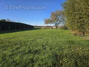 Terrain à BARRY-D'ISLEMADE