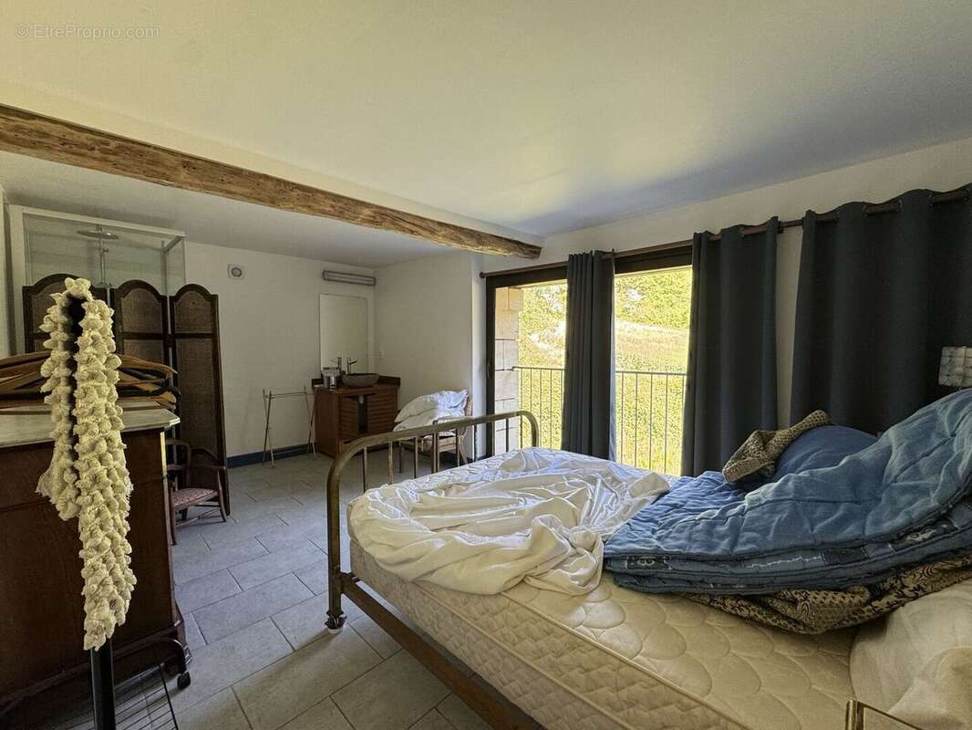 IMG2834 - Maison à SAINT-CYPRIEN