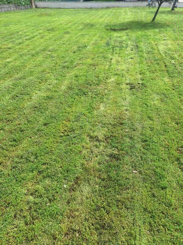 Terrain à VERDUN-SUR-GARONNE