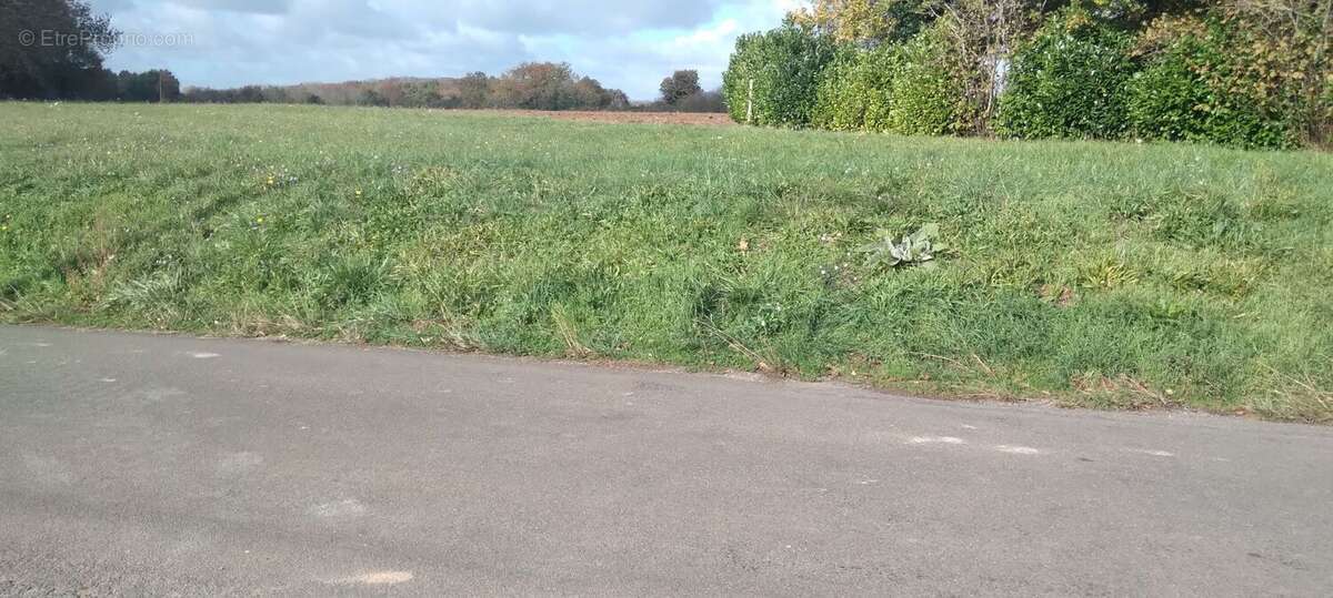 Projet de construction d'une maison  m² avec terrain à SAINT-SORNIN (16) - photo 2