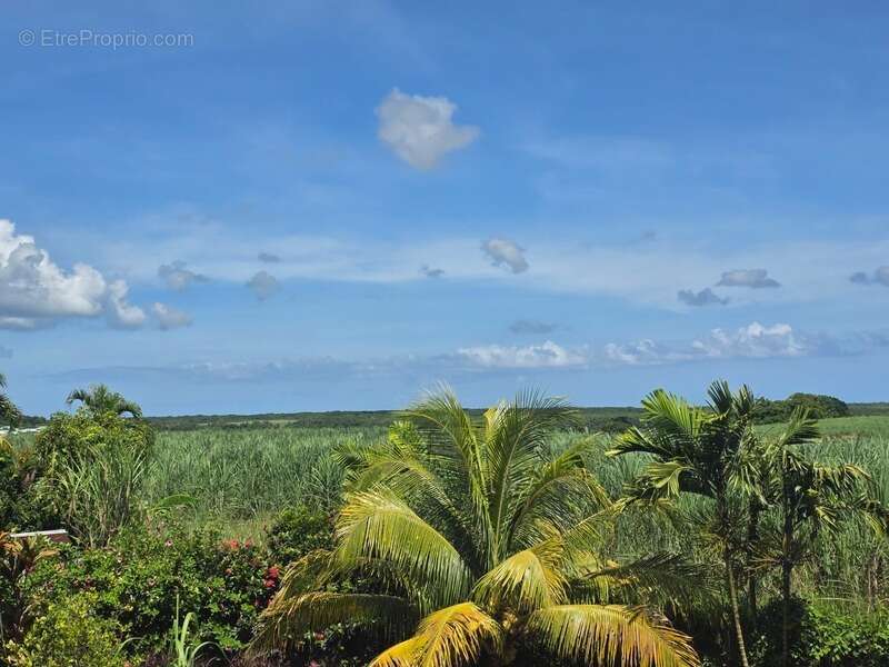 Maison à BAIE-MAHAULT