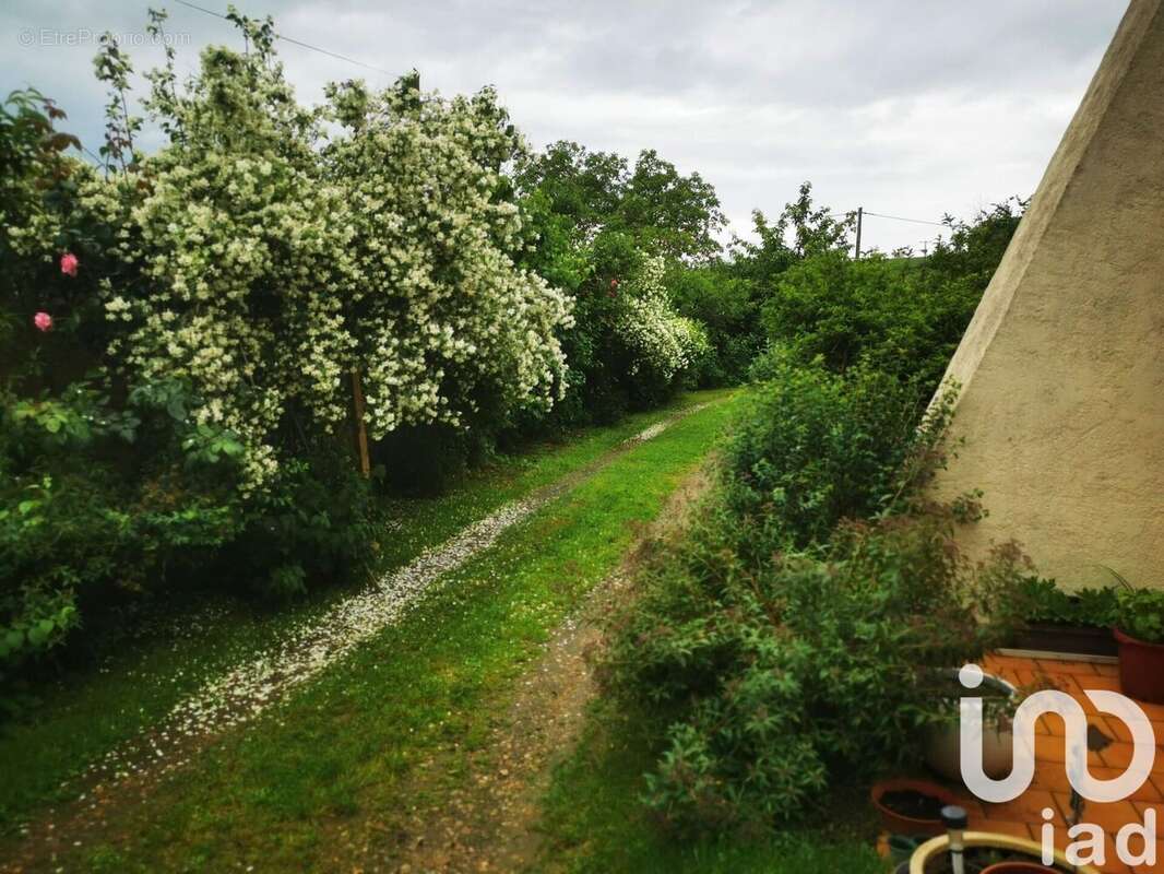 Photo 4 - Maison à APPOIGNY