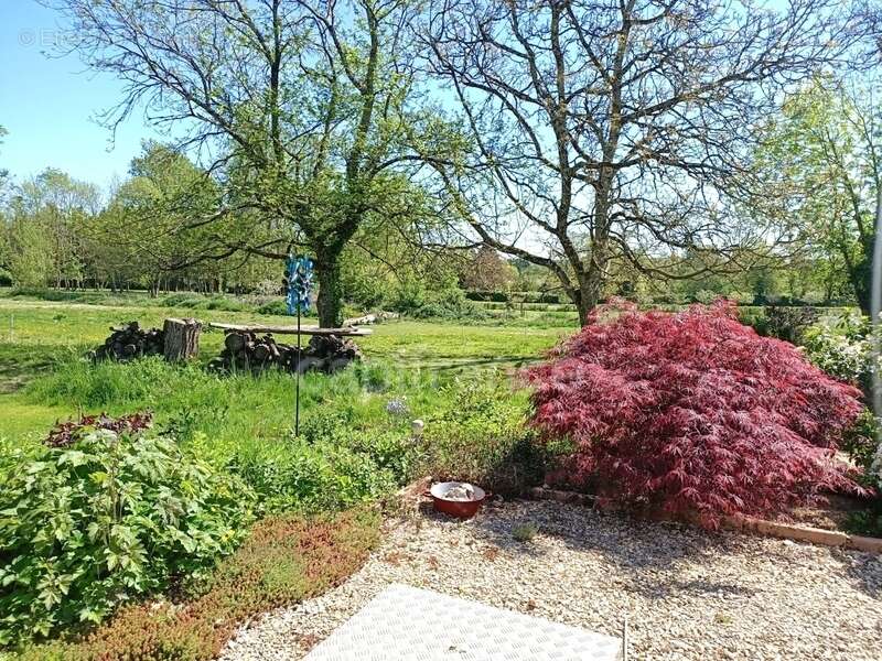Maison à VILLECHETIVE