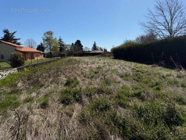 Terrain à ORCINES