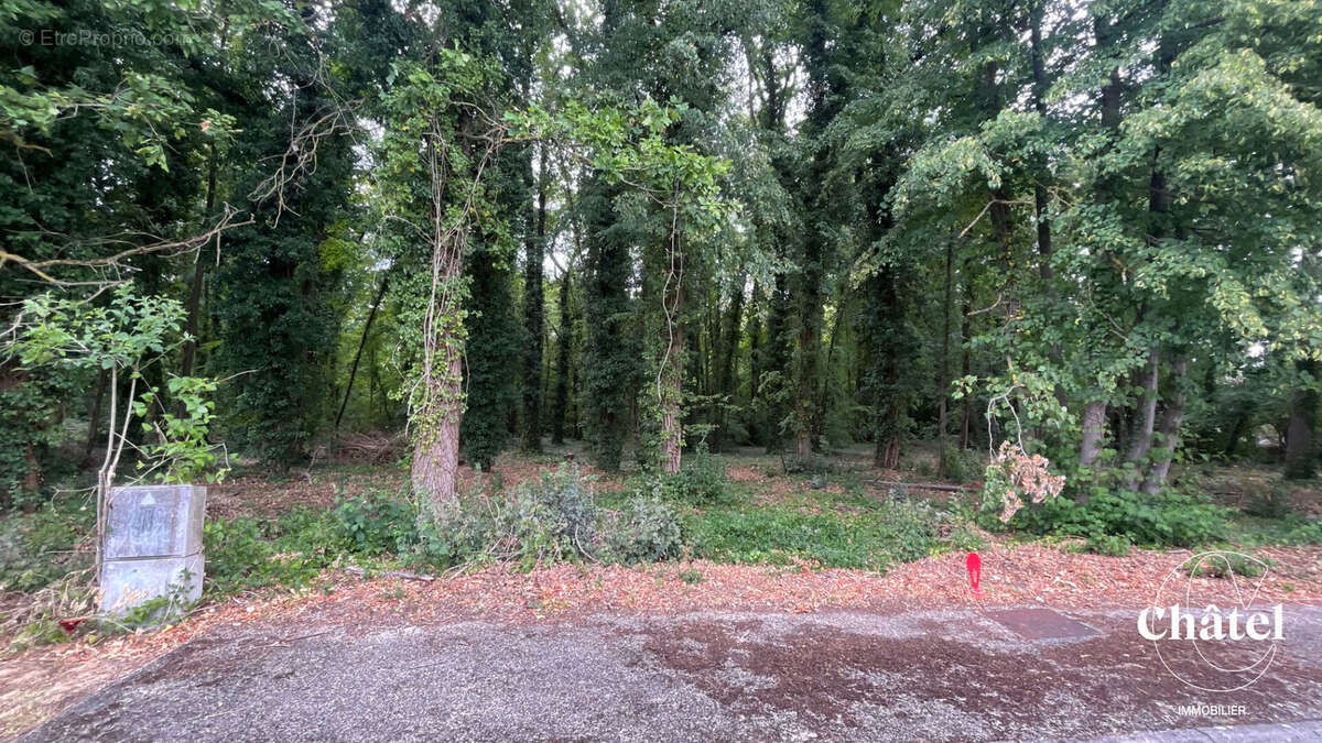 Terrain à bâtir - Gouvieux - Proche centre-ville - photo 2