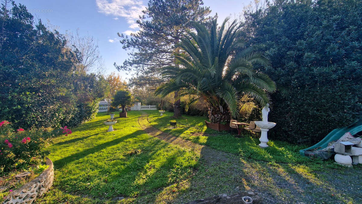 Maison à BOIS-DE-CENE