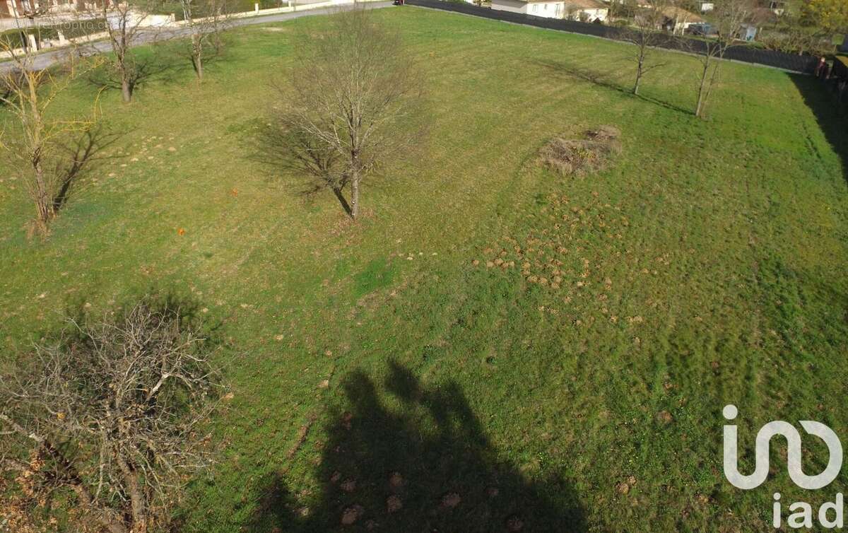 Terrain 1055 m² à Bressols  - photo 6