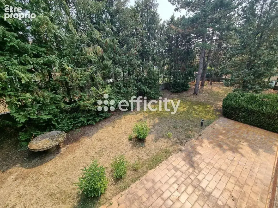 Maison 272 m² à Le Malzieu-Ville  - photo 21