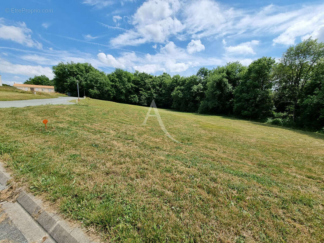 Terrain à ECOYEUX