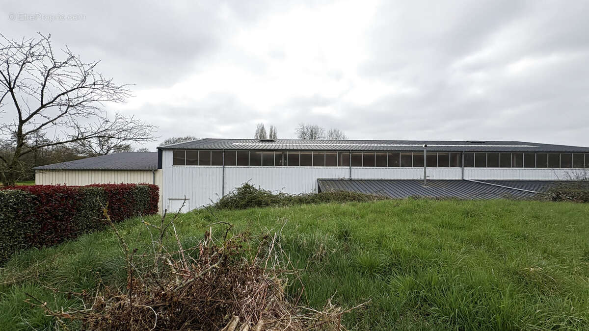 Terrain à bâtir en vente sur Chemillé-en-Anjou - Exclusivité AMP - photo 6