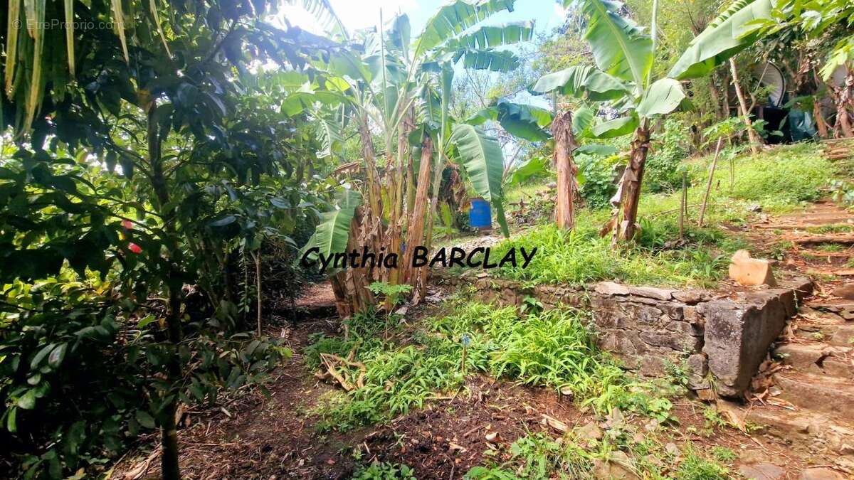 Terrain à FORT-DE-FRANCE