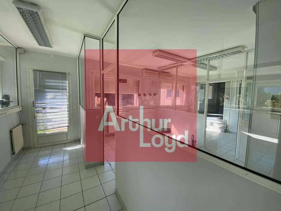 450 m² à Pont-Du-Casse  - photo 3