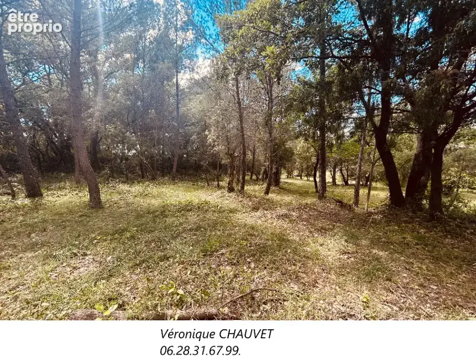 Terrain 976 m² à vendre à Flayosc (83780) - photo 4